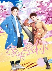 缘来：是你
