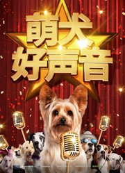 萌犬好声音