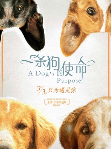 亿贝体育官方下载入口安卓 刘世运