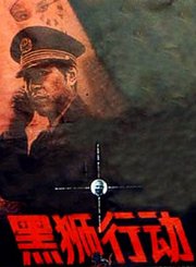 黑狮行动