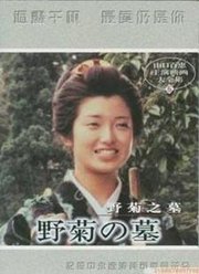 野菊之墓