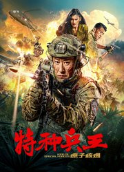 特种兵王之原子核爆