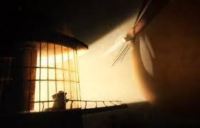 灯塔守护者