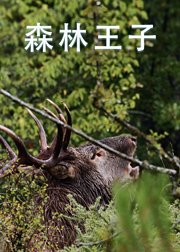 森林王子