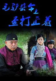 毛驴县令之歪打正着