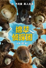 绵羊侦探团