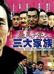 暴风少年之三大家族（2001）