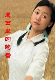 麦田里的芭蕾
