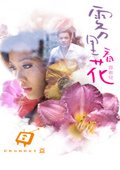 雾里看花