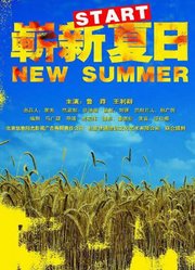 崭新夏日