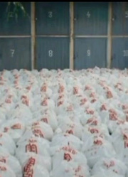《鬼婴庙》由泰国真实案件改编的电影，警察在寺庙发现两千件婴尸