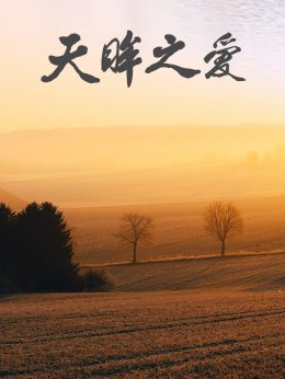 天眸之爱