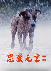 忠爱无言2