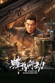 蜂鸟行动