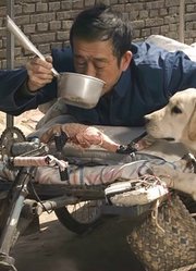 一条农村老黄狗，照顾了残疾老人10年，最后却被4000块钱贱卖！