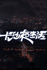 群星闪耀的夜晚