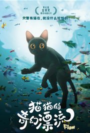 猫猫的奇幻漂流