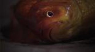discuss-image