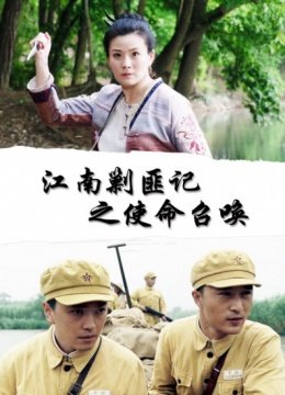 江南剿匪记