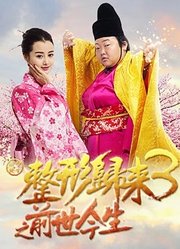 整形归来3：前世今生