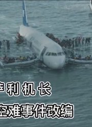 真实改编的空难片，飞机撞鸟群失控，机长一个大胆决定救下155人