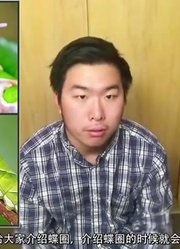 恐怖!彩色小宠物背后的恐怖故事！你不知道的商业黑幕！【彩色下的黑暗与罪恶】