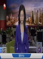宝贝多米之动物真奇妙