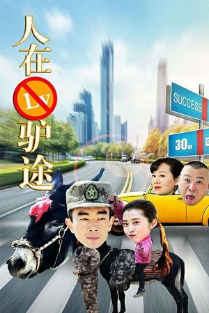 人在驴途