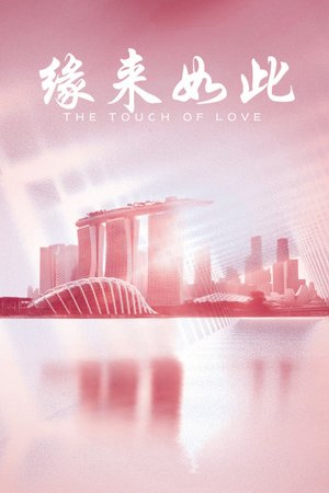 缘来如此