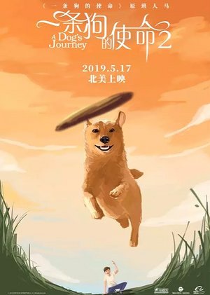一条狗的使命2