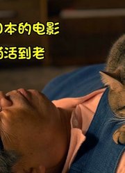 感动整个日本的电影，陪一只猫活到老：我绝不先说“再见”