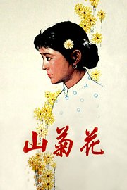 山菊花