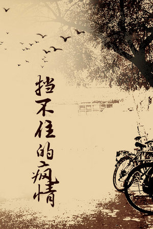 挡不住的疯情