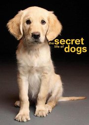 狗的秘密生活