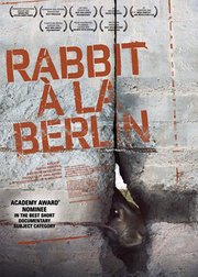柏林墙的野兔