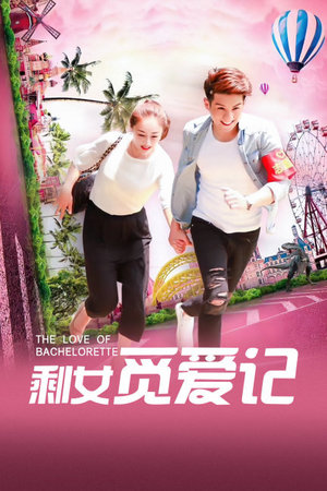 剩女觅爱记