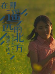 在那遥远的北方