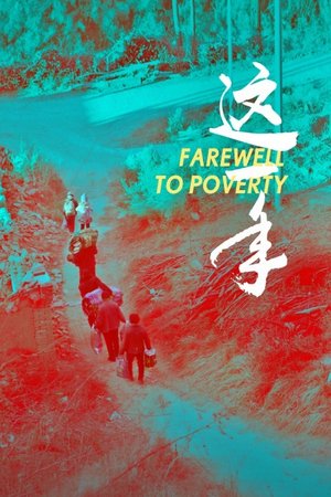 这一年