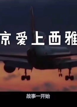 北京爱上西雅图