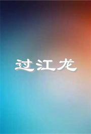奇门大盗过江龙