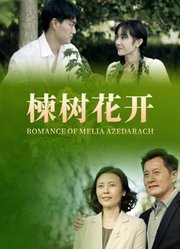 楝树花开