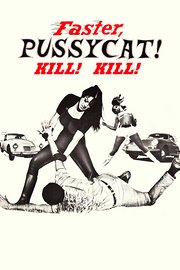 癫猫公路历险记