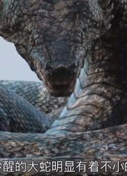 电影《大蛇2》精彩解说！