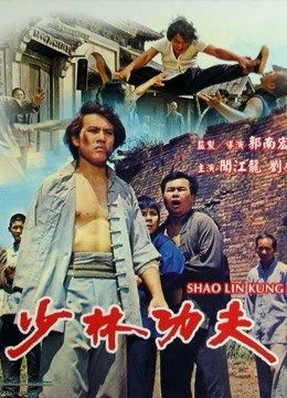 少林功夫