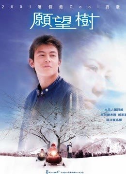 愿望树（2001）