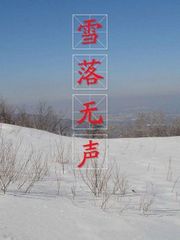 雪落无声