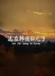 远在韩国的儿子