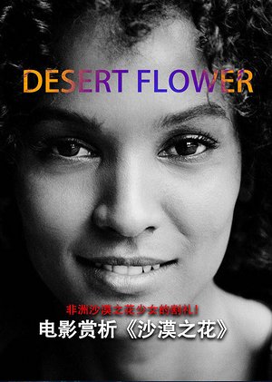 电影赏析沙漠之花