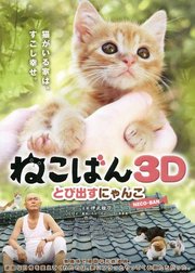 小猫跳出来3D