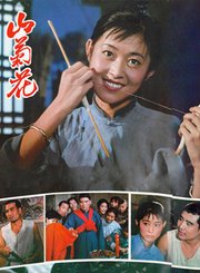 山菊花